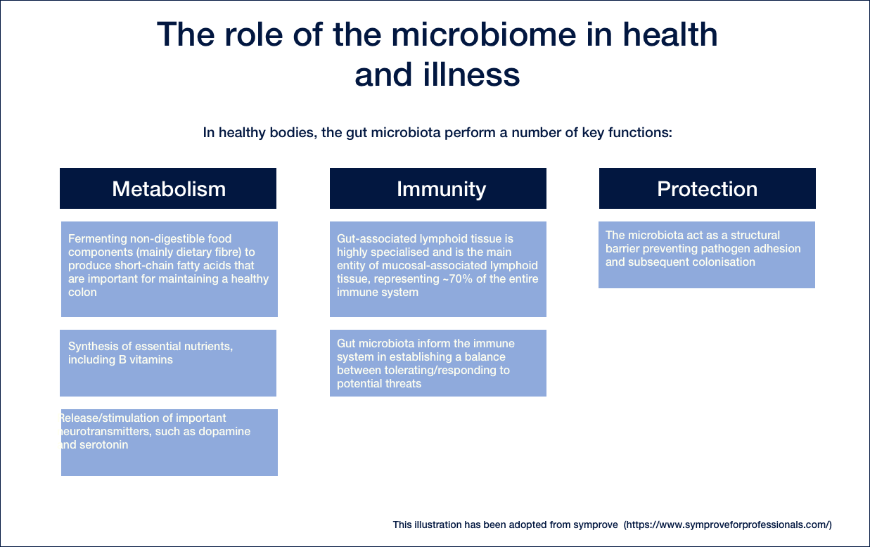 The role of the microbiome in health and illness, metabolism, immunity, protection  